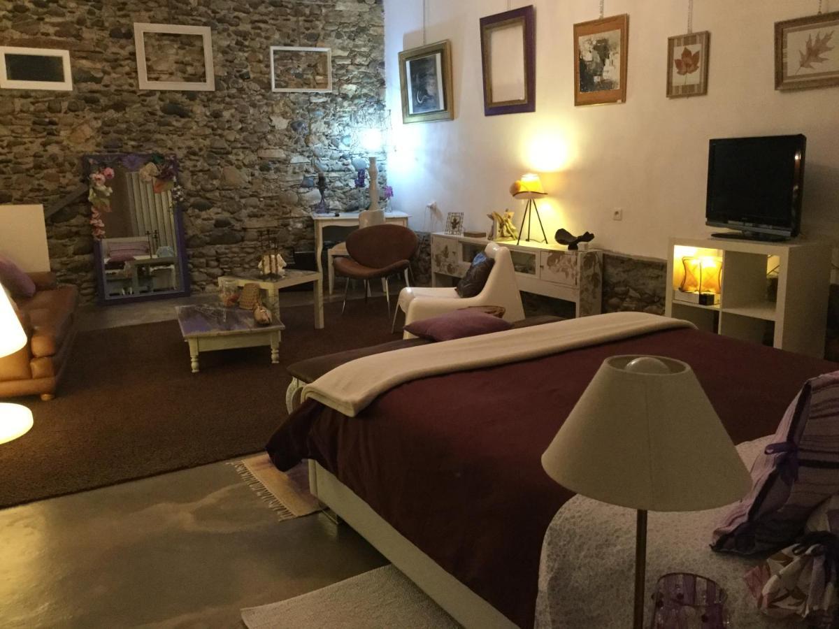 Loft Atypique Bed & Breakfast Villeneuve-de-Rivière Eksteriør bilde